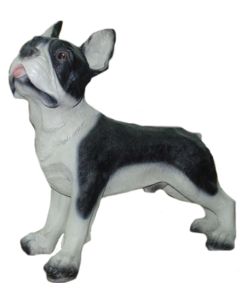 franz.Bulldogge stehend, Kampfhund lebensgroß