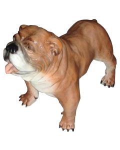 Hund, Bulldogge lebensgroß
