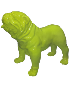 Hund, Bulldogge fluoreszierend  lebensgroß