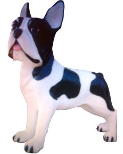 Hund französische Bulldogge übergroß XXL