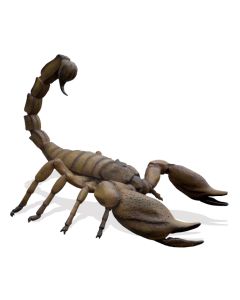 XXL Skorpion übergroß XXL