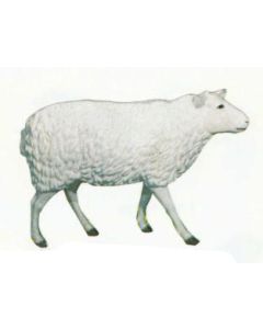 großes laufendes Schaf lebensgroß