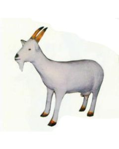 weißer ziegenbock lebensgroß