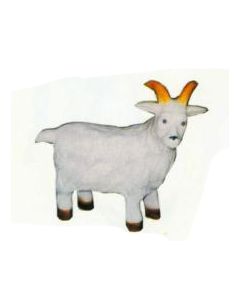 kleiner Bock verkleinert
