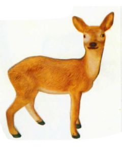 Baby Reh lebensgroß