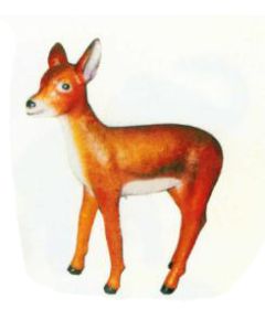 stehendes kleines Reh verkleinert