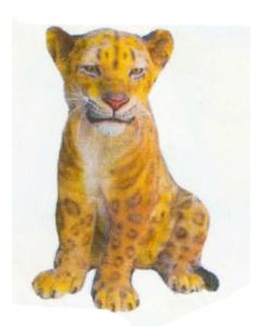 kleiner sitzender Leopard lebensgroß