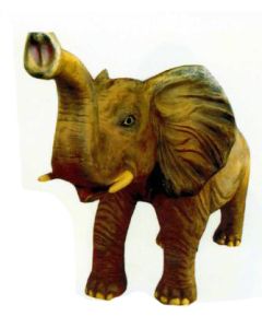 kleiner Elefant Rüssel oben lebensgroß