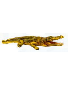 großes Krokodil mit offenem Maul lebensgroß