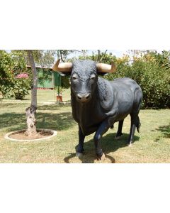 Stier schwarz lebensgroß