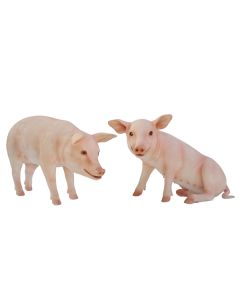 Rosa Schweine stehend und sitzend lebensgroß