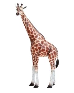 BabyGiraffe stehend lebensgroß