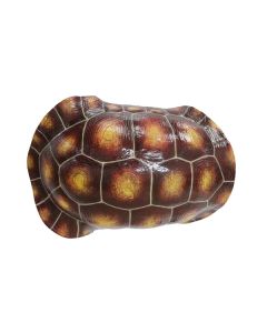 Brauner Schildkrötenpanzer für Wand lebensgroß