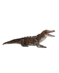 Alligator lebensgroß