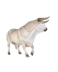 Weißer Stier lebensgroß