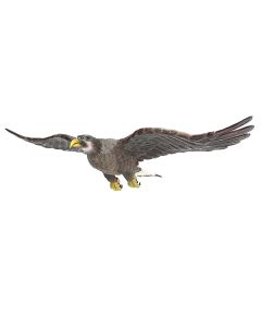 Goldener Adler fliegend lebensgroß