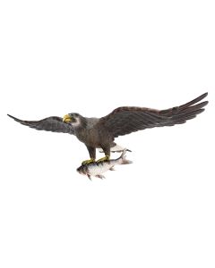 Goldener Adler fliegend mit Fisch lebensgroß