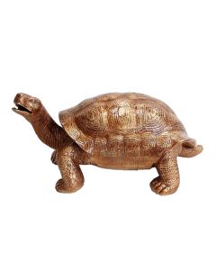 Goldene Schildkröte lebensgroß