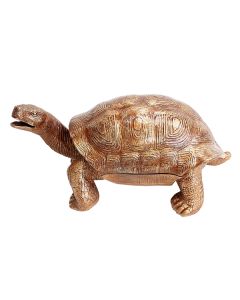 Getränkefach goldene Schildkröte lebensgroß