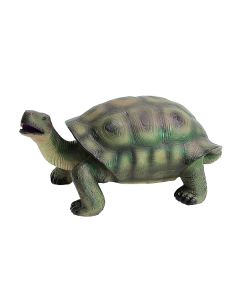 Schildkröte lebensgroß