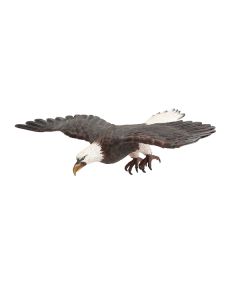 Weißköpfiger Adler fliegend Angriffsposition lebensgroß