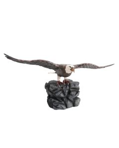 Weißköpfiger Adler auf Stein lebensgroß
