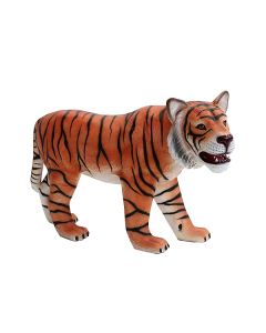 Tiger Blick links lebensgroß