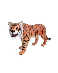 Tiger Blick rechts lebensgroß