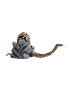 Anakonda Schlange auf kleinem Stein lebensgroß