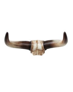 Stierhorn Wanddeko lebensgroß