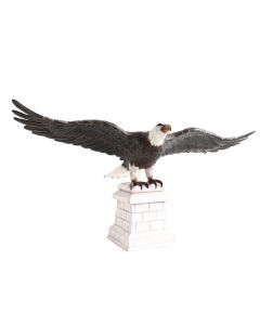 Weißköpfiger Adler auf Stein lebensgroß
