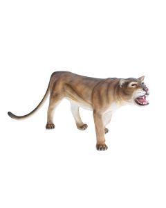 Puma lebensgroß
