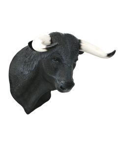 Schwarzer Stierkopf groß lebensgroß