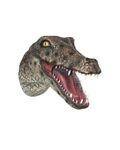 Alligatorkopf  lebensgroß