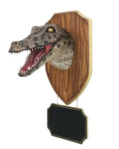 Alligatorkopf mit Angebotsschild lebensgroß