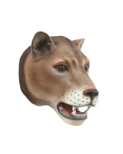 Löwenkopf  lebensgroß