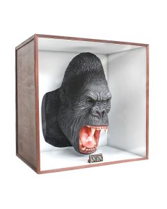 Gorillakopf in Schaukasten lebensgroß