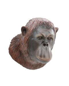 Orangutankopf lebensgroß