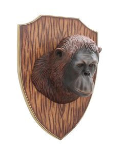 Orangutankopf auf Holz lebensgroß