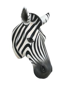 Zebrakopf lebensgroß