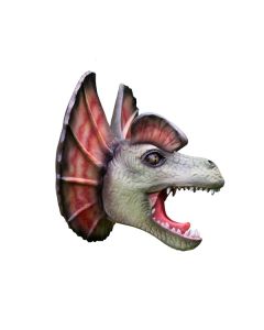 Dinosaurier BabyDilophosauruskopf lebensgroß