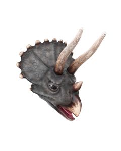 Dinosaurier Triceratopskopf lebensgroß