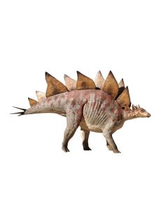 Dinosaurier Stegosaurus lebensgroß