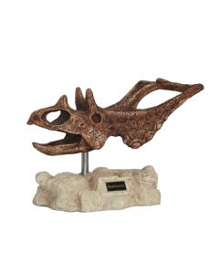 Dinosaurier Chasmosaurus auf Stein lebensgroß