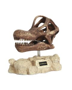 Dinosaurier Brachiosaurus auf Stein lebensgroß