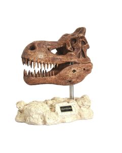 Dinosaurier Tyrannosaurus auf Stein lebensgroß
