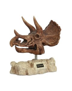 Dinosaurier Triceratops auf Stein lebensgroß