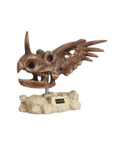 Dinosaurier Styracosaurus auf Stein lebensgroß