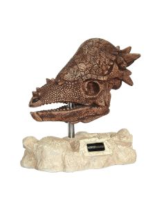 Dinosaurier Pachycephalosaurus auf Stein lebensgroß