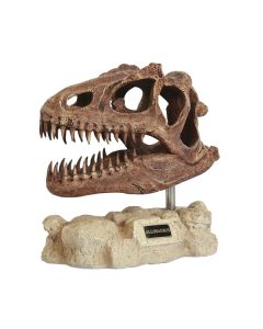 Dinosaurier Allosaurus auf Stein lebensgroß